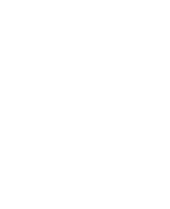 My True Burger & Vegan
